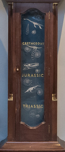 Naturally Curious: A triptych on the fossils of the Jurassic Coast